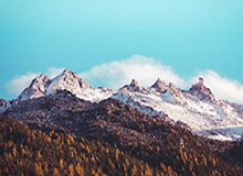 开云-专访王蔷④：生活愈加复杂 灿烂微笑是最好的面具