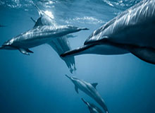 kaiyun-成都蓉城新援球衣号码揭晓：贺一然4号，拜合拉木27号|韦林顿-席尔瓦|王子铭|茹萨|成都蓉城俱乐部|成都蓉城足球俱乐部_新浪体育_新浪新闻